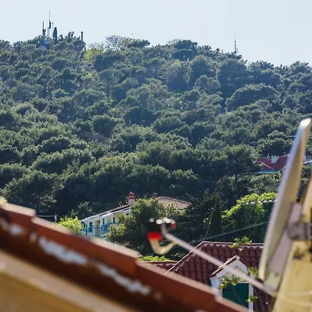 Jelena Appartamento *